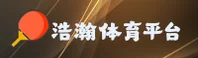 使用指南与常见问题